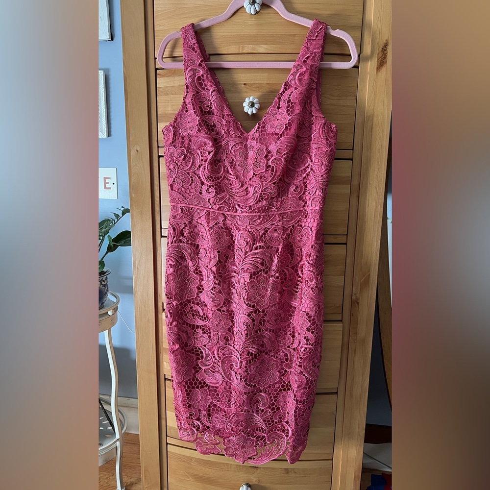 Women’s Adrianna Papell lace dusty rose cocktail dress